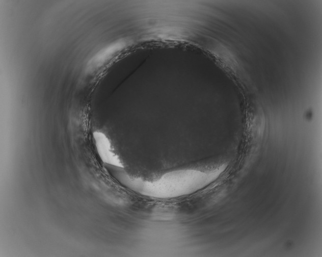 X0000115271110200912111157