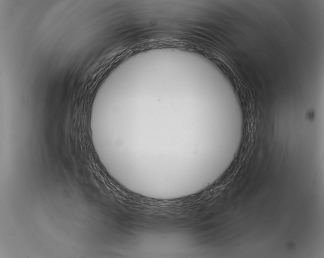 X0000115271111200912111157