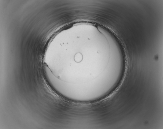 X0000115271113200912111157