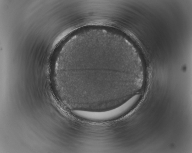 X0000115271114200912111157