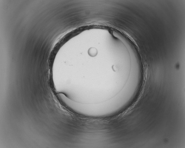 X0000115271117200912111157