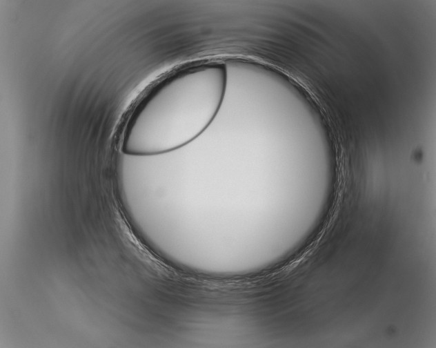 X0000115271118200912111157