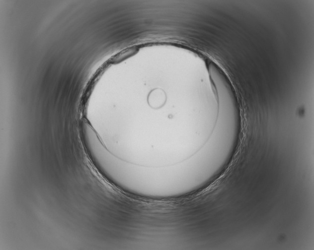 X0000115271119200912111157