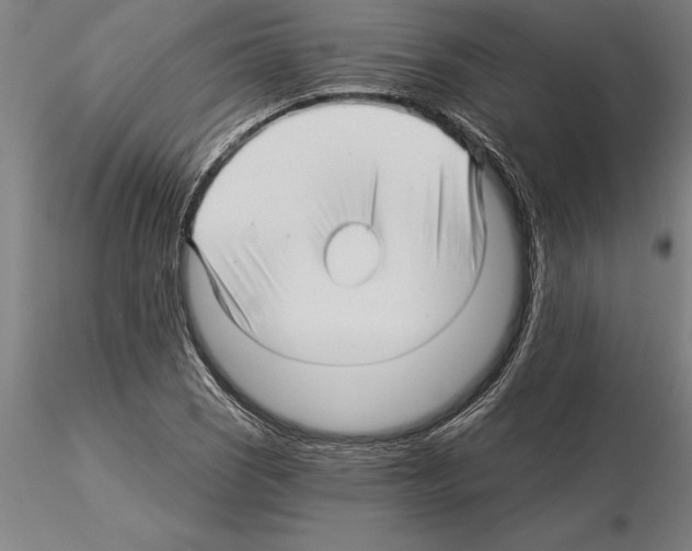 X0000115271121200912111157