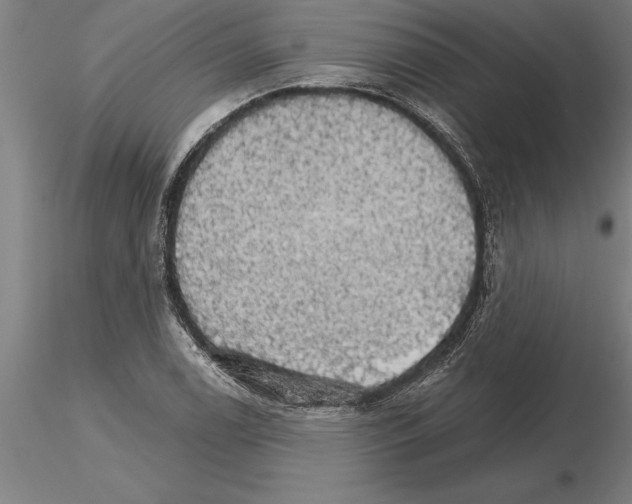 X0000115271122200912111157