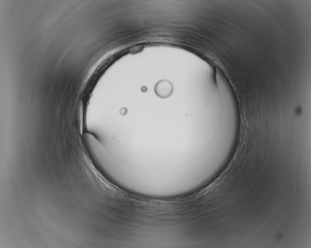 X0000115271123200912111157