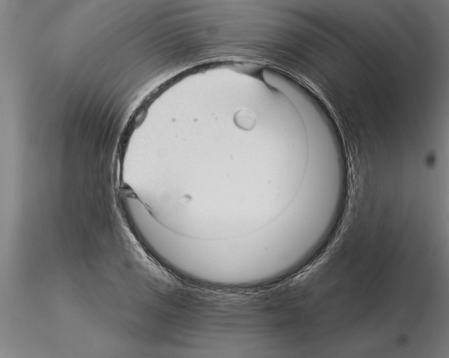 X0000115271125200912111157