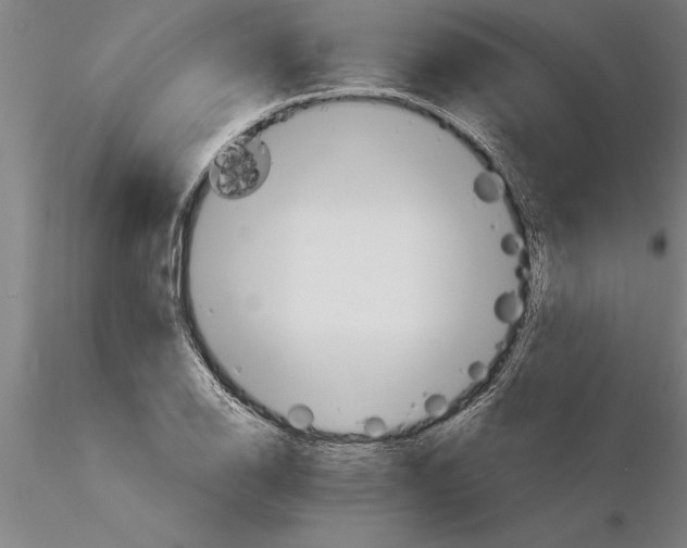 X0000115271126200912111157