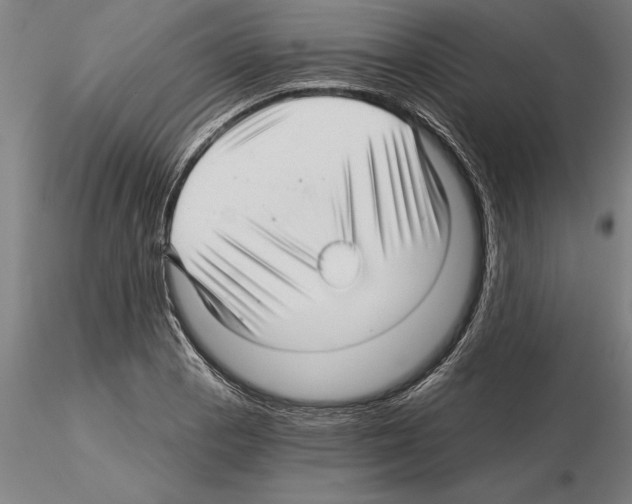 X0000115271129200912111157