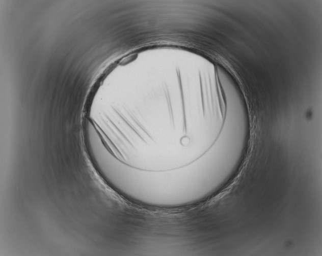 X0000115271133200912111157