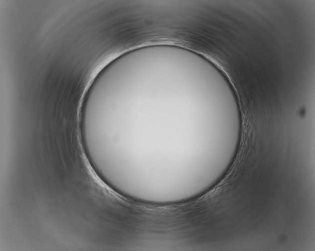 X0000115271135200912111157