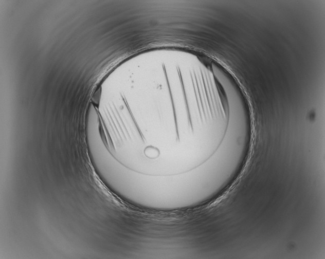 X0000115271137200912111157