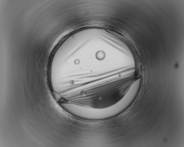 X0000115271139200912111157