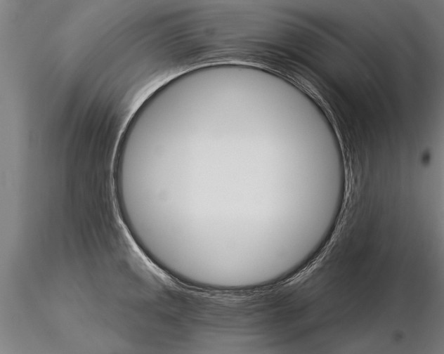 X0000115271141200912111157