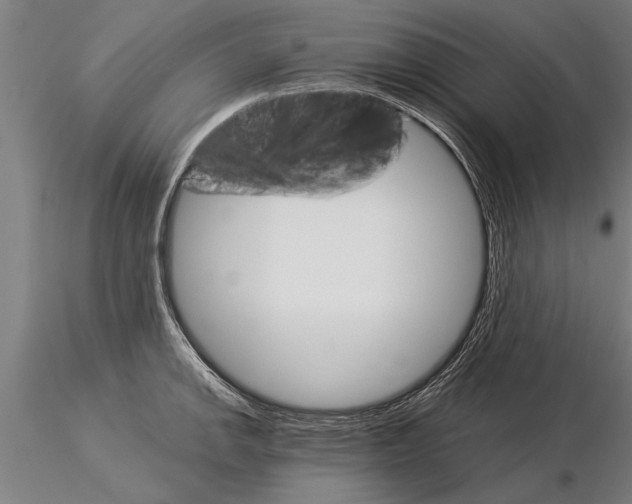 X0000115271142200912111157