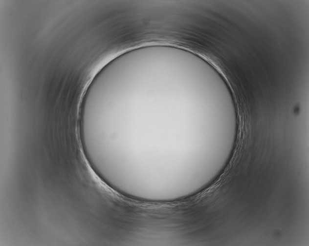 X0000115271143200912111157