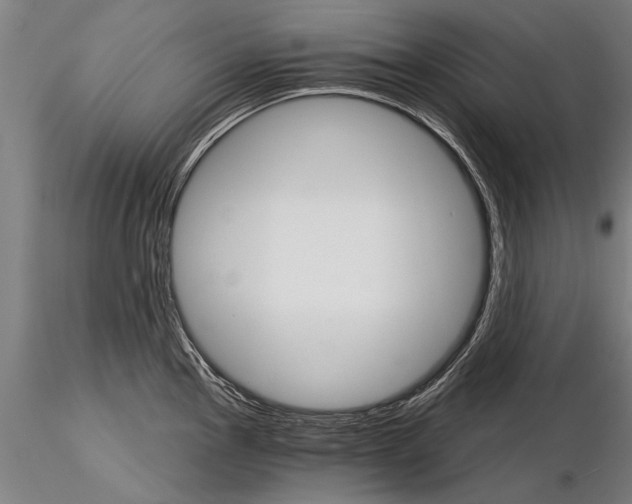 X0000115271145200912111157