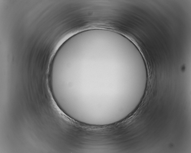 X0000115271147200912111157