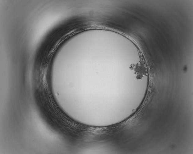 X0000115271150200912111157