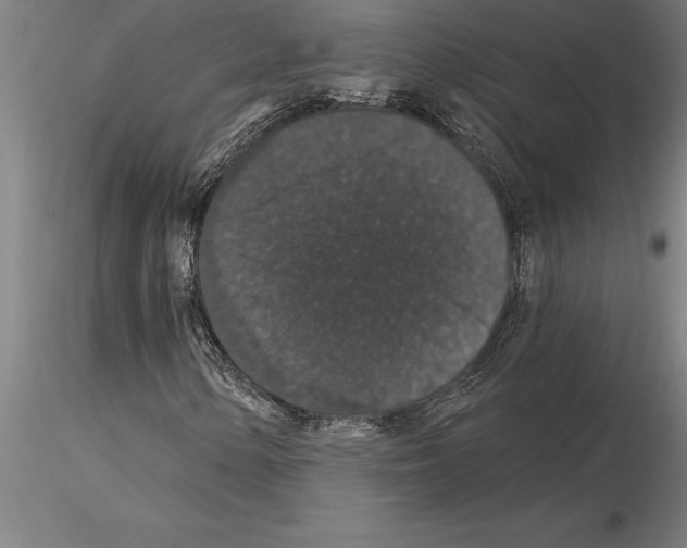 X0000115271154200912111156