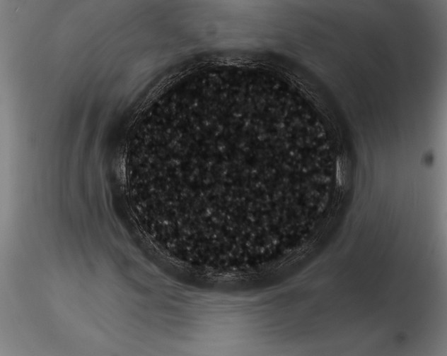 X0000115271155200912111156