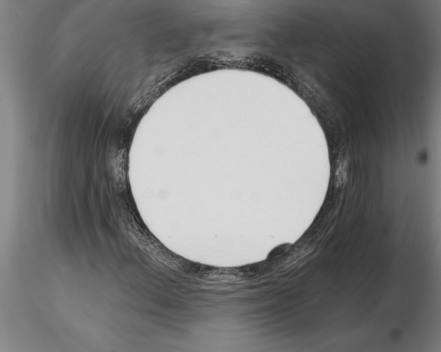 X0000115271156200912111156