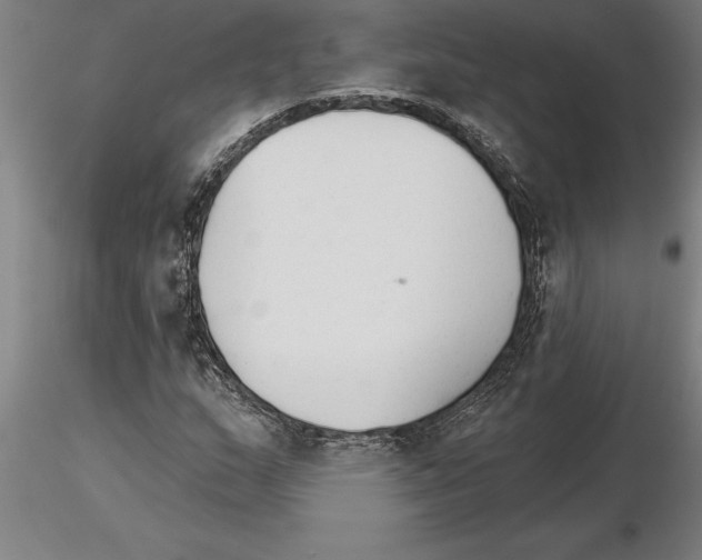 X0000115271159200912111156