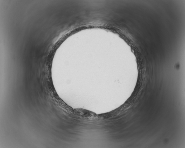 X0000115271160200912111156