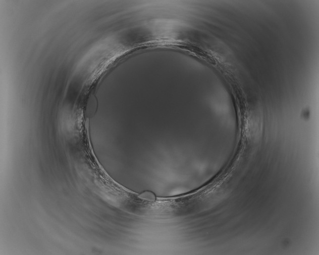 X0000115271161200912111156