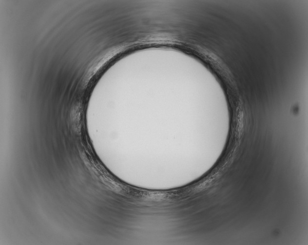 X0000115271162200912111156