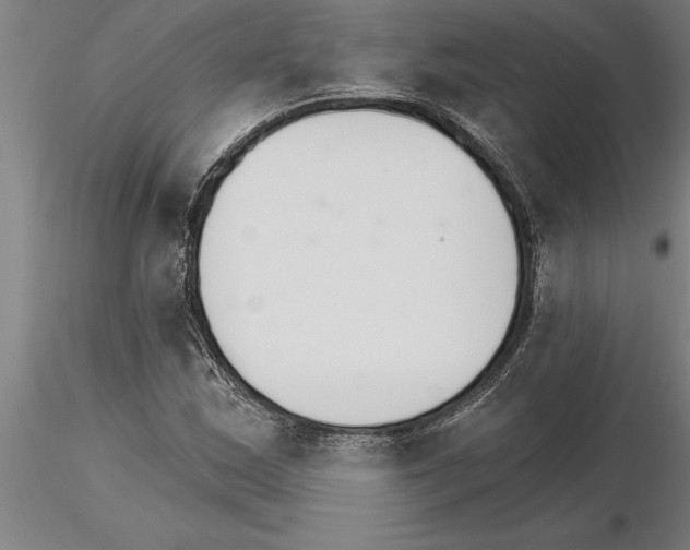 X0000115271163200912111156