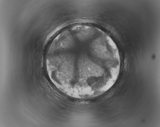 X0000115271165200912111156