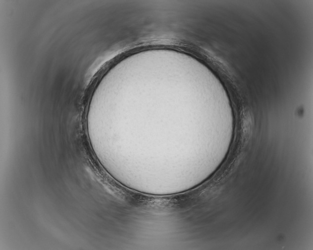 X0000115271166200912111156