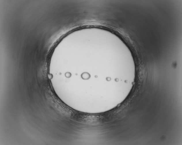 X0000115271167200912111156