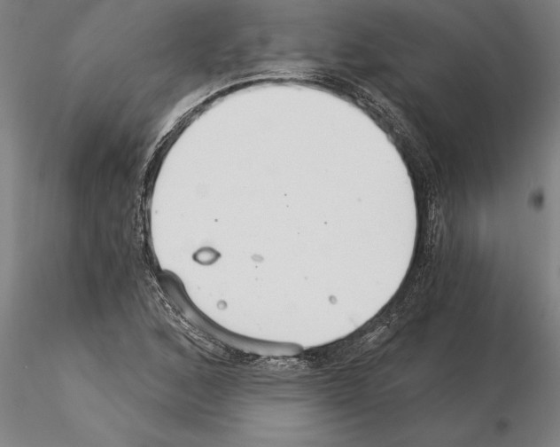 X0000115271168200912111156