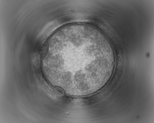 X0000115271169200912111156