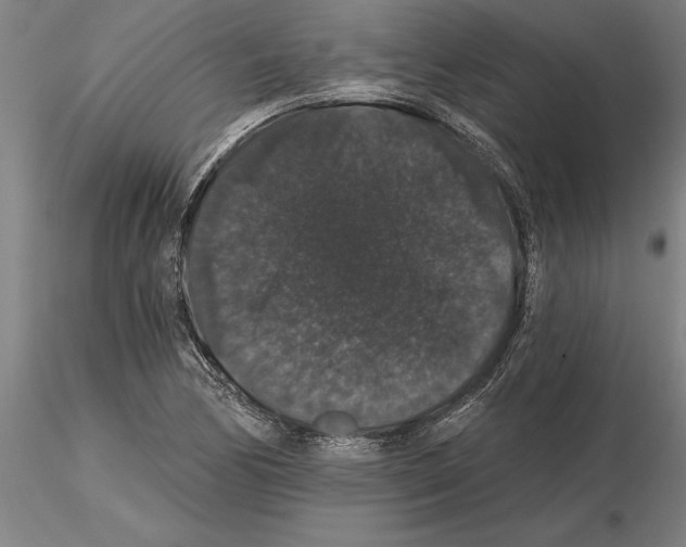 X0000115271170200912111156