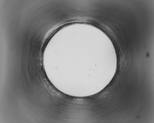 X0000115271172200912111156