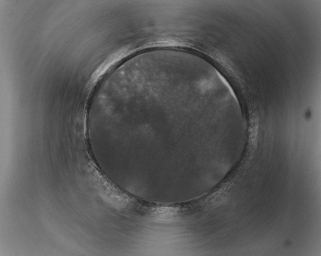 X0000115271173200912111156