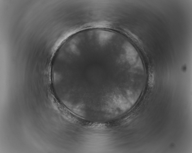 X0000115271174200912111156