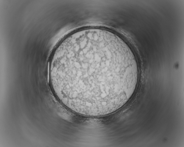 X0000115271175200912111156