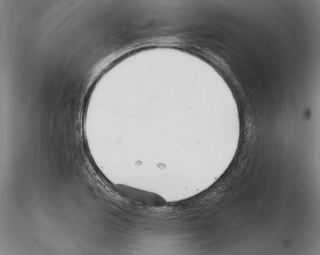 X0000115271176200912111156