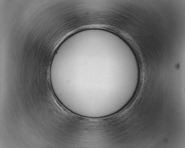 X0000115271177200912111156