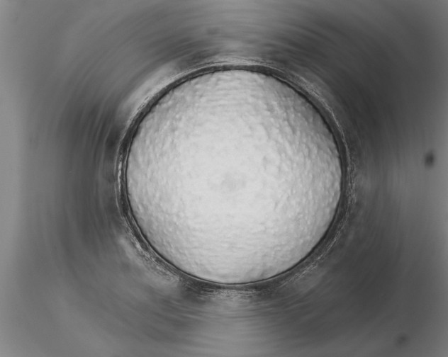 X0000115271179200912111156