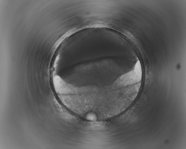 X0000115271181200912111156