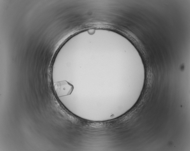 X0000115271182200912111156