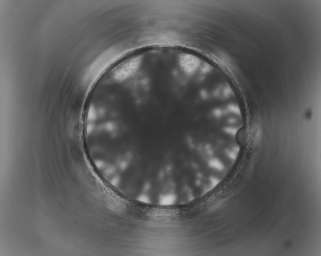 X0000115271183200912111156