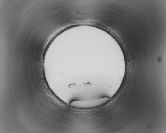 X0000115271184200912111156