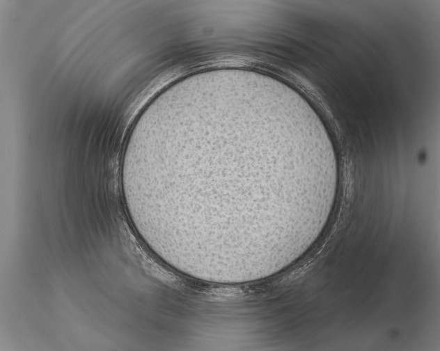 X0000115271186200912111156