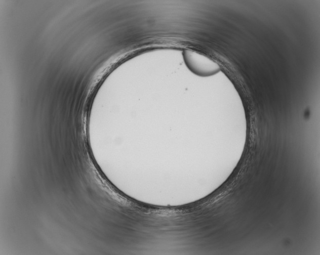 X0000115271188200912111156